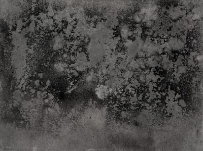 גלריה P8 מציגים: DON’T FORGET I WAS SOMEONE, תערוכת יחיד של רוני בן פורת | פתיחה: 2.5.24, בשעה 20:00