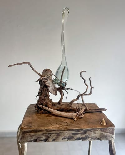 נתיב הרעל | תערוכה קבוצתית | גלריה שכטר | יום רביעי 3.7.24