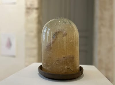 (אי)סטוריוֹת | אמני גלריה  8P | המפעל בירושלים | יום חמישי 27.6.24 בשעה 21:00