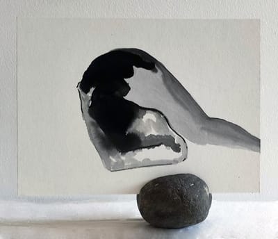 חיית מדבר | תמר רודד שבתאי |  המעבדה | יום חמישי 11.7.24 בשעה 20:00