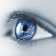 Mouvements OCulaires image