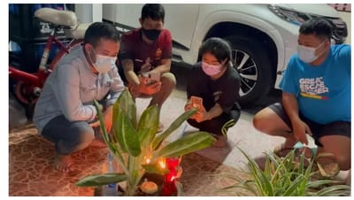 ออกดอกทีไรให้โชคตลอด ต้นว่านพญาช้างเผือก ไม่พลาดไหว้ขอ "เลขเด็ด" image