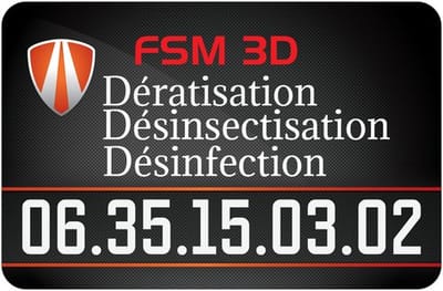 FSM 3D image