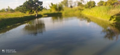 About the project image