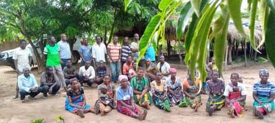 About the project image