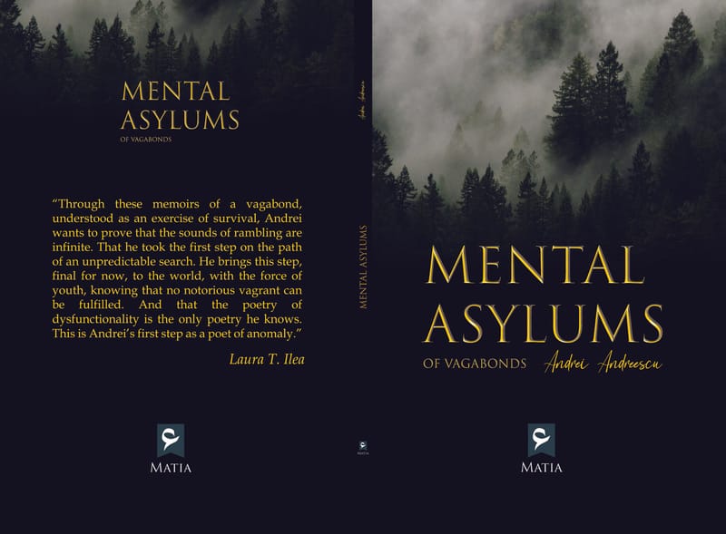 Mental Asylums of Vagabonds - Andrei F. Andreescu