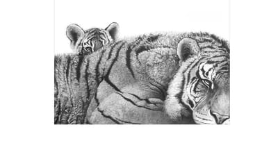 About the store image