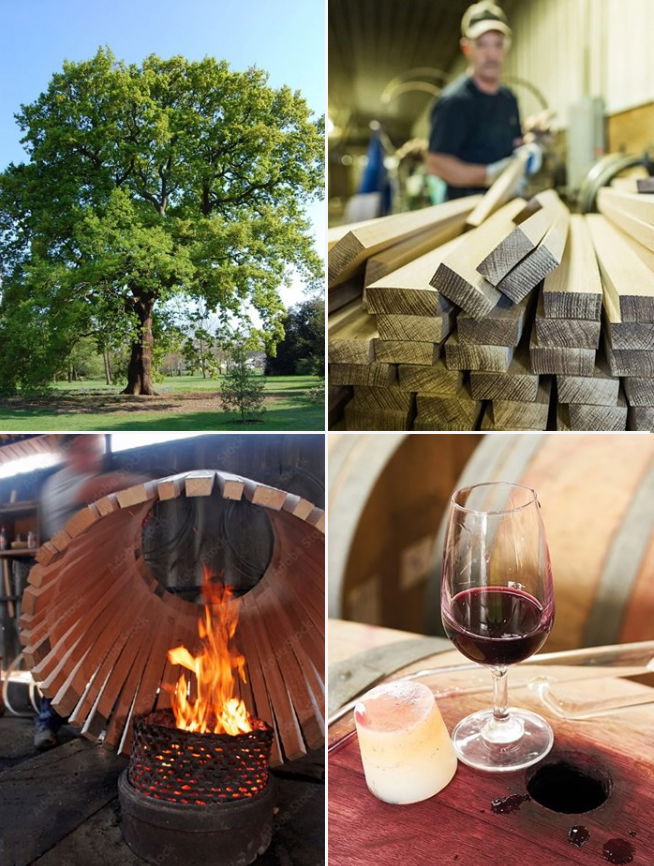 Discover the Unique Flavors of Serbian Oak Barrels