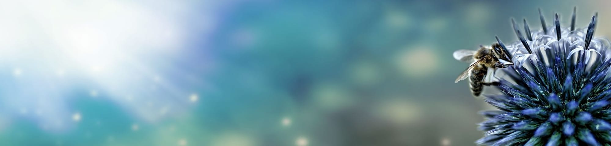 00231