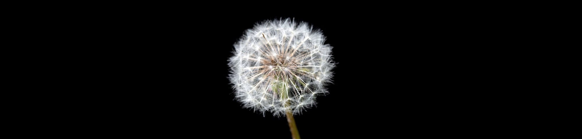 00350