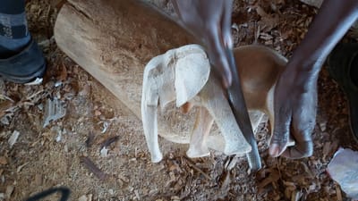 Daguitstappen / Het Hout fabriekje en winkeltje.