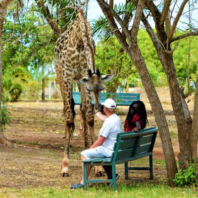 Dag uitstap /  Bora bora wildlife park.