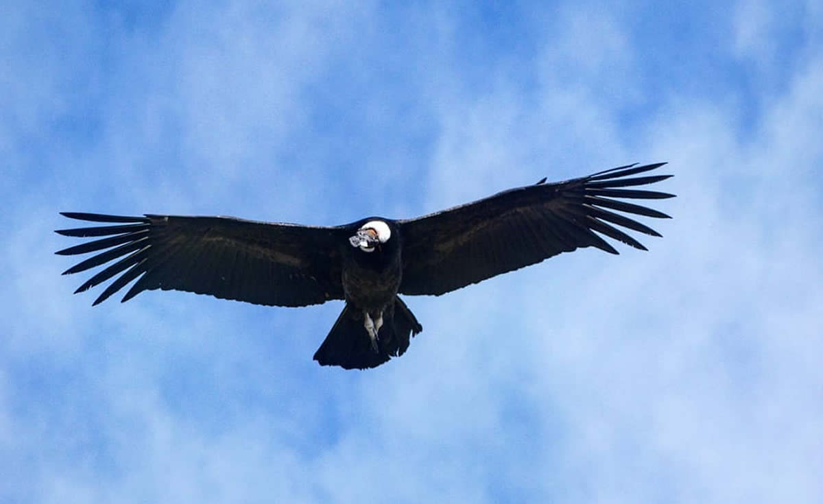 Filo Serrano, Mirador del Sol y Mirador de Los Cóndores