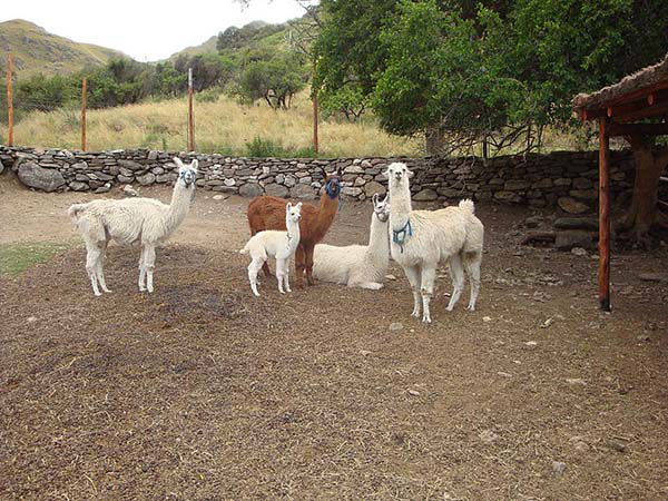 Reserva Provincial Natural Mogote Bayo