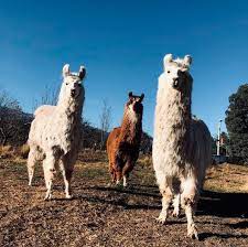 Eco Parque Tierra de Oro