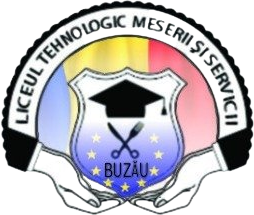 Diseminare proiect site-ul LTMS