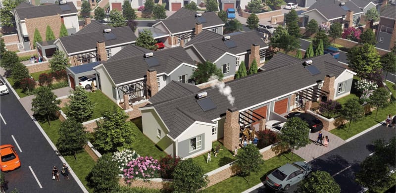 Bella Rosa - Roseacre