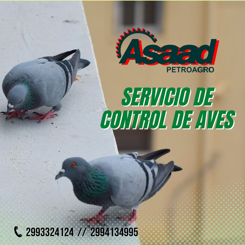 Control de Aves