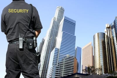 Importance of Hiring Security Guards in an Event