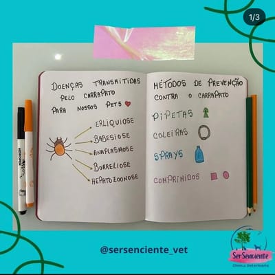 Começando a falar sobre as hemoparasitoses nos cães