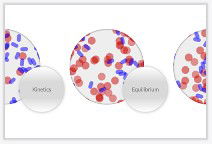 Chemical Kinetic and Equilibrium