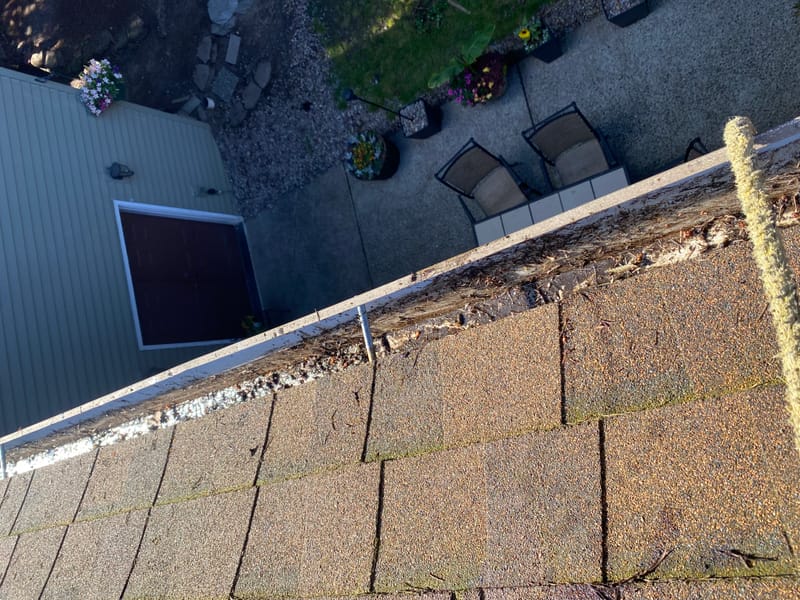 Gutter Cleaning Services