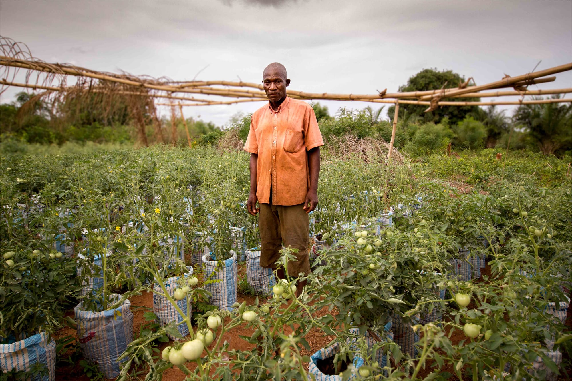 François (Kpomassè, Benin)