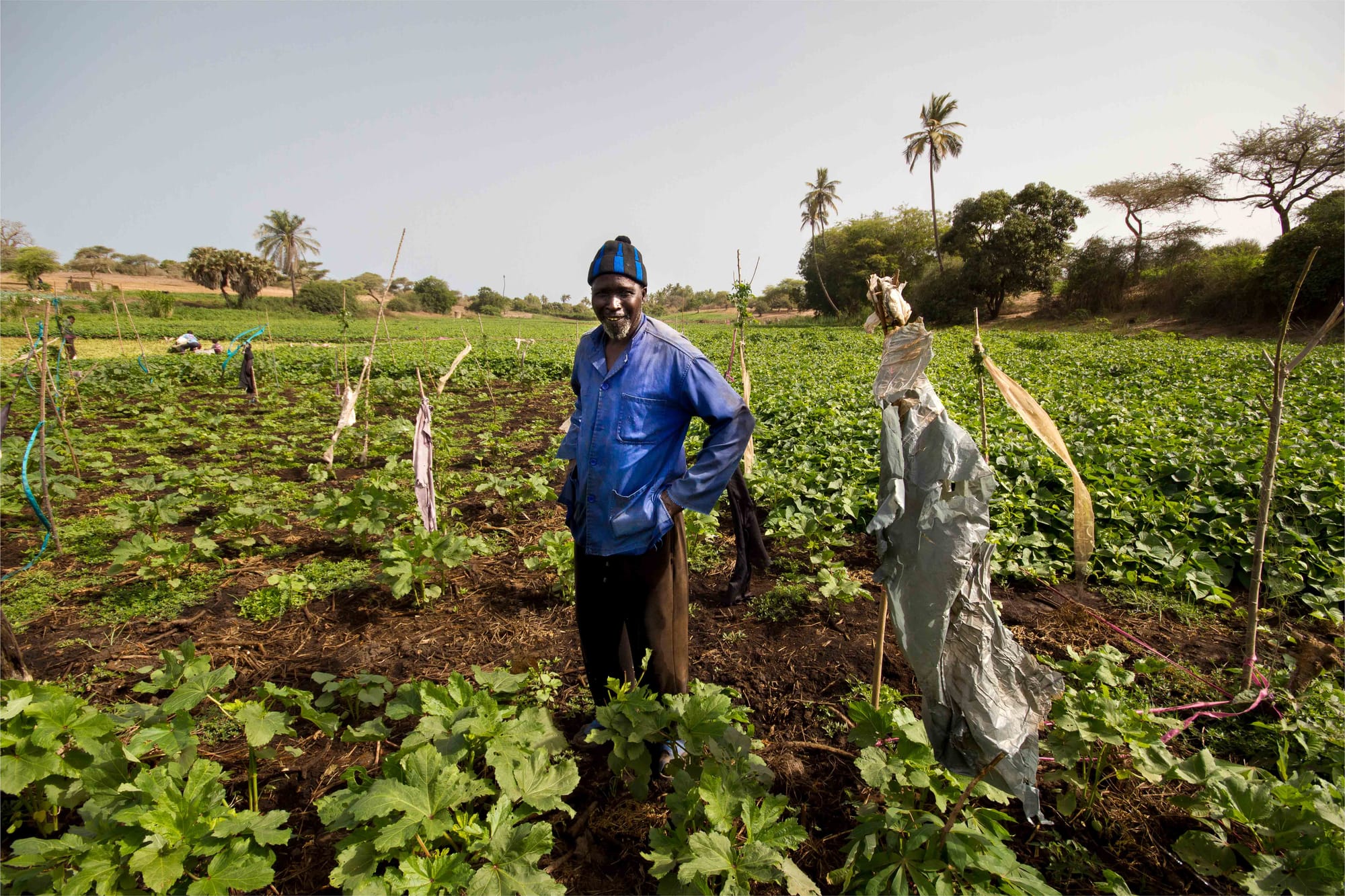 Moussa (Darou Khoudoss, Senegal)