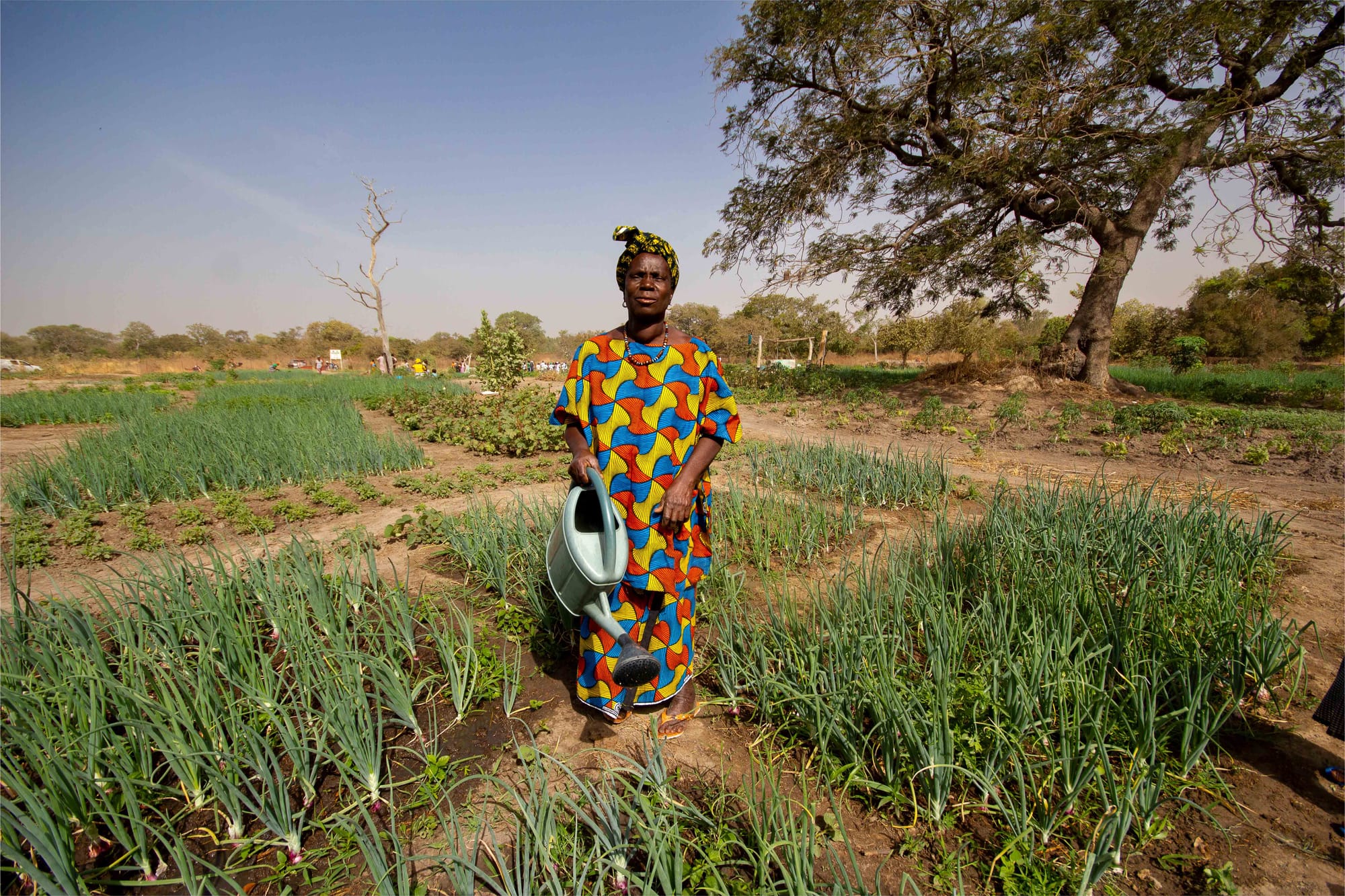 Finda (Médina Yoro Foula, Sénégal)