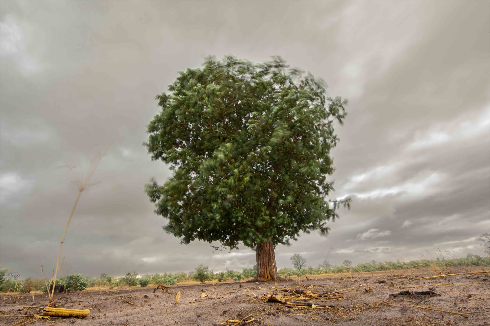 Extreme weather events