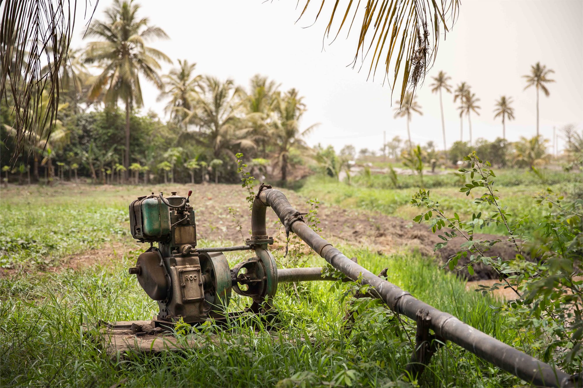 Boreholes and motor pumps