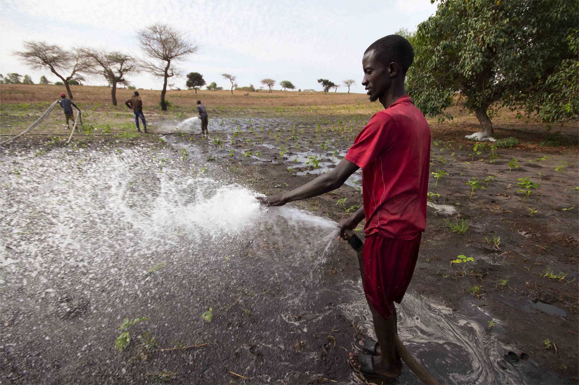 Boreholes and motor pumps