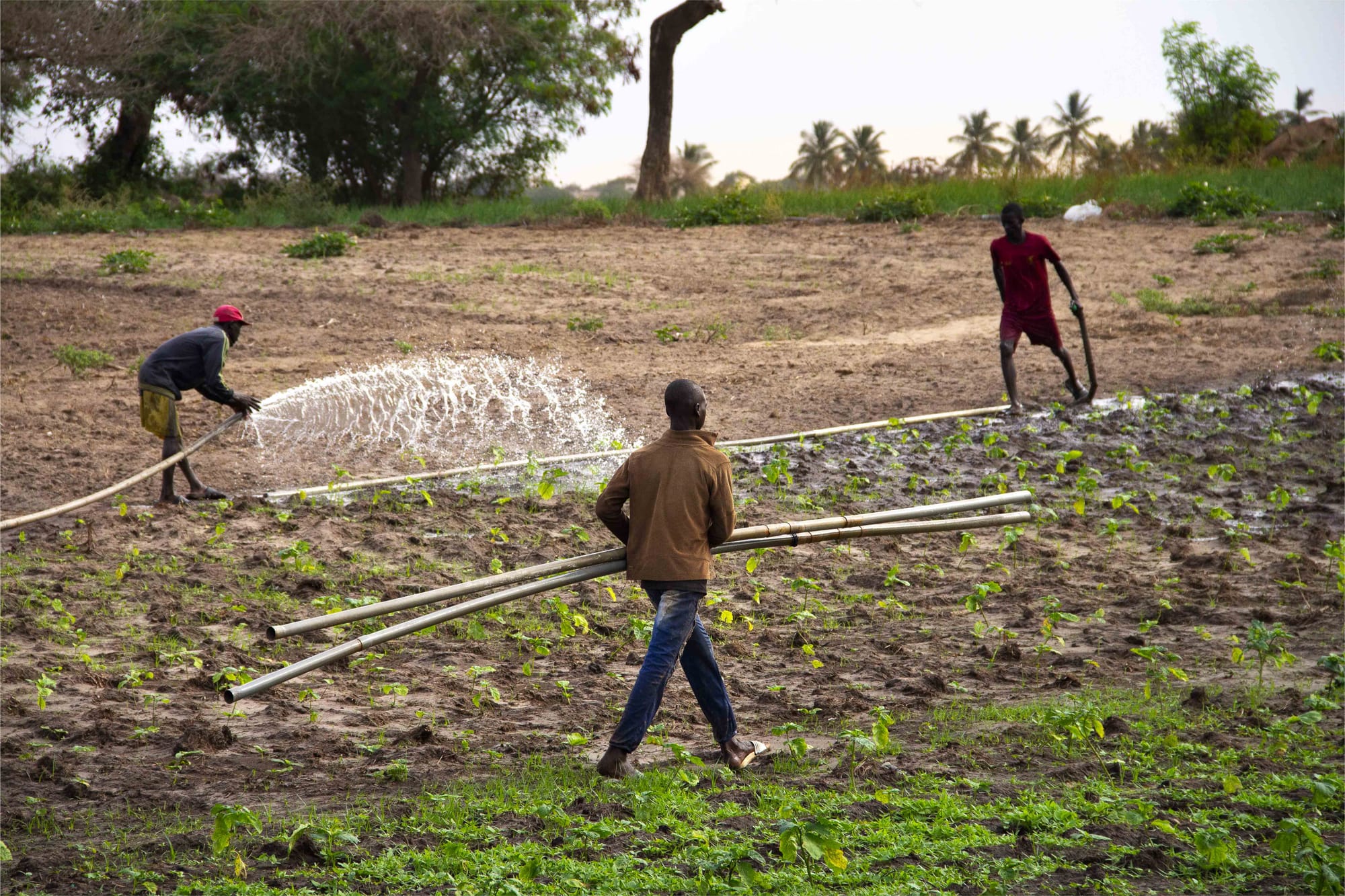 Boreholes and motor pumps