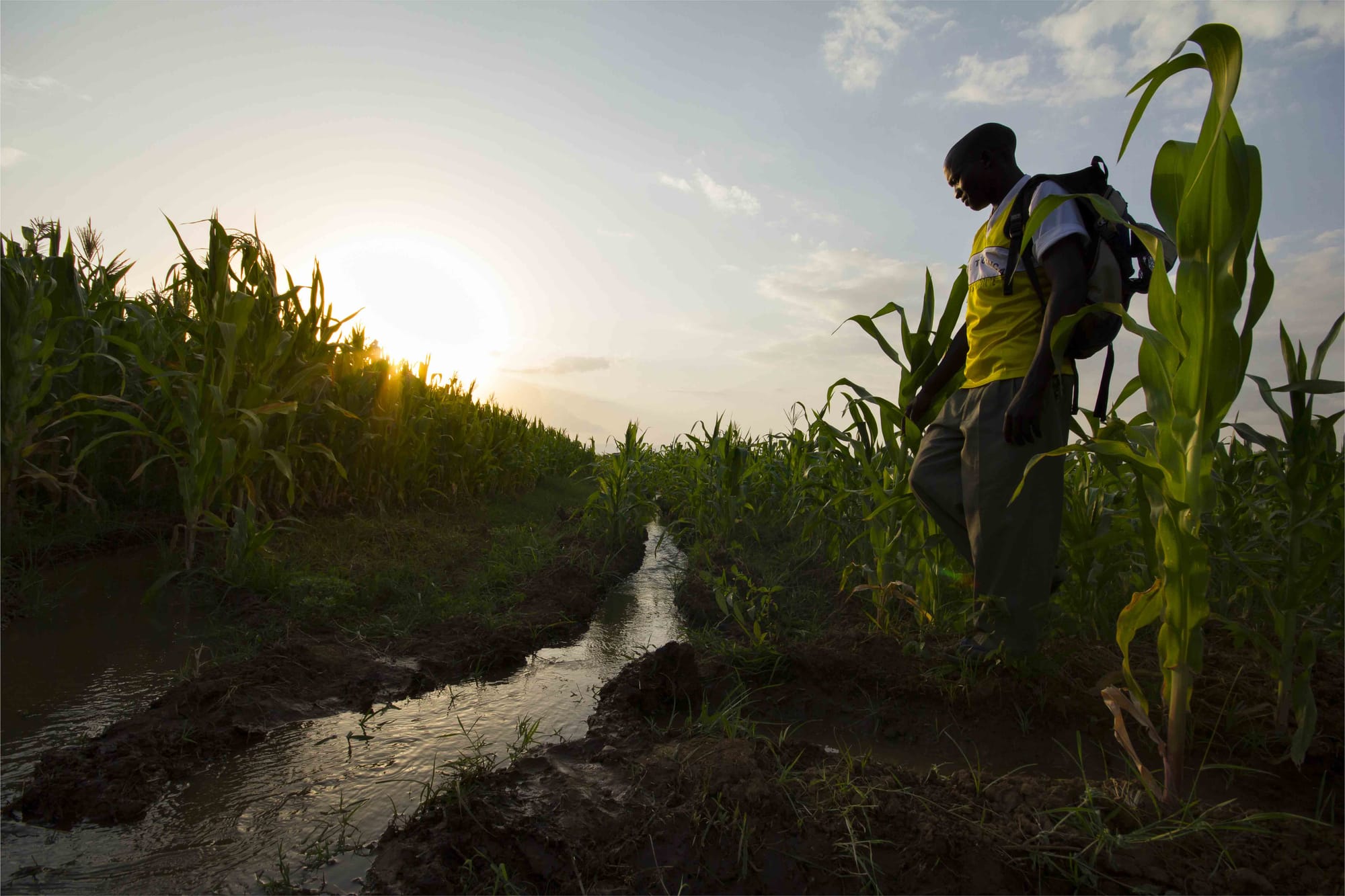 Climate change, over-pumping, chronic pollution... farmers in the Sahel are powerless to prevent the depletion of their precious water.