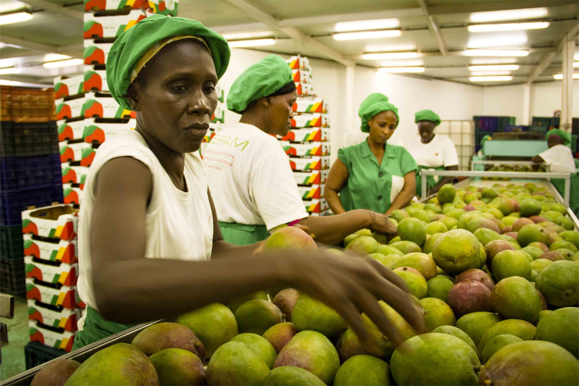 Post-harvest losses in export supply chains