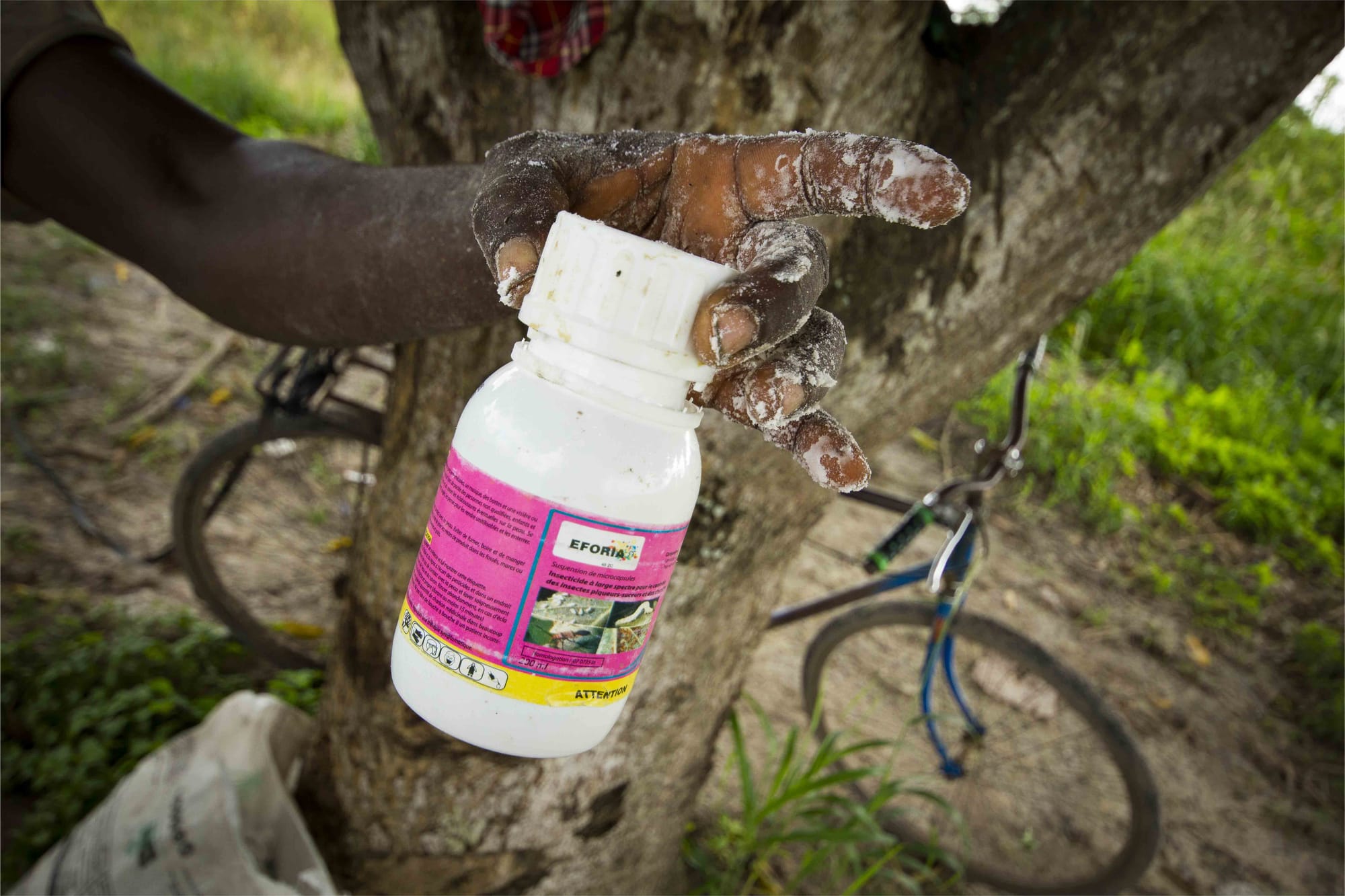 Chemical pesticides are now widespread in rural areas in Africa. By using them recklessly, farmers have become locked into an ineffective and dangerous production model.