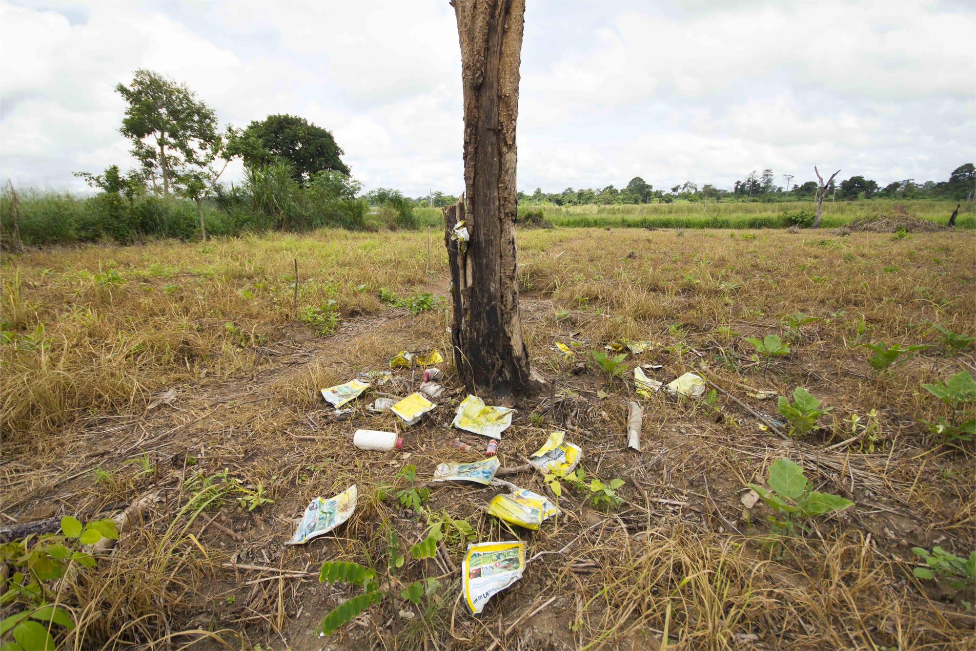 A booming pesticide market