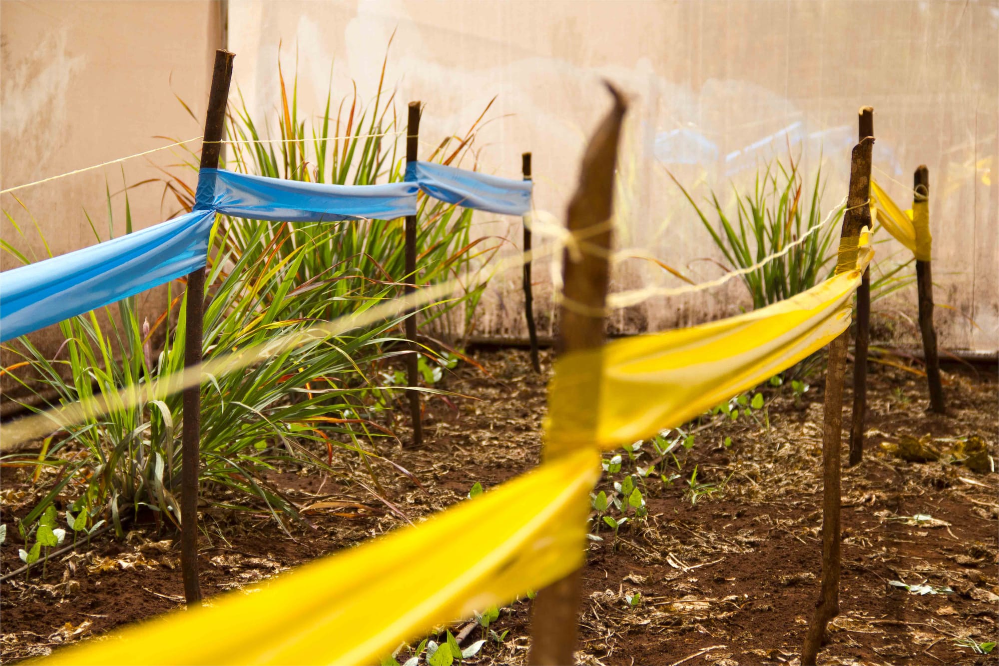 The netting technology