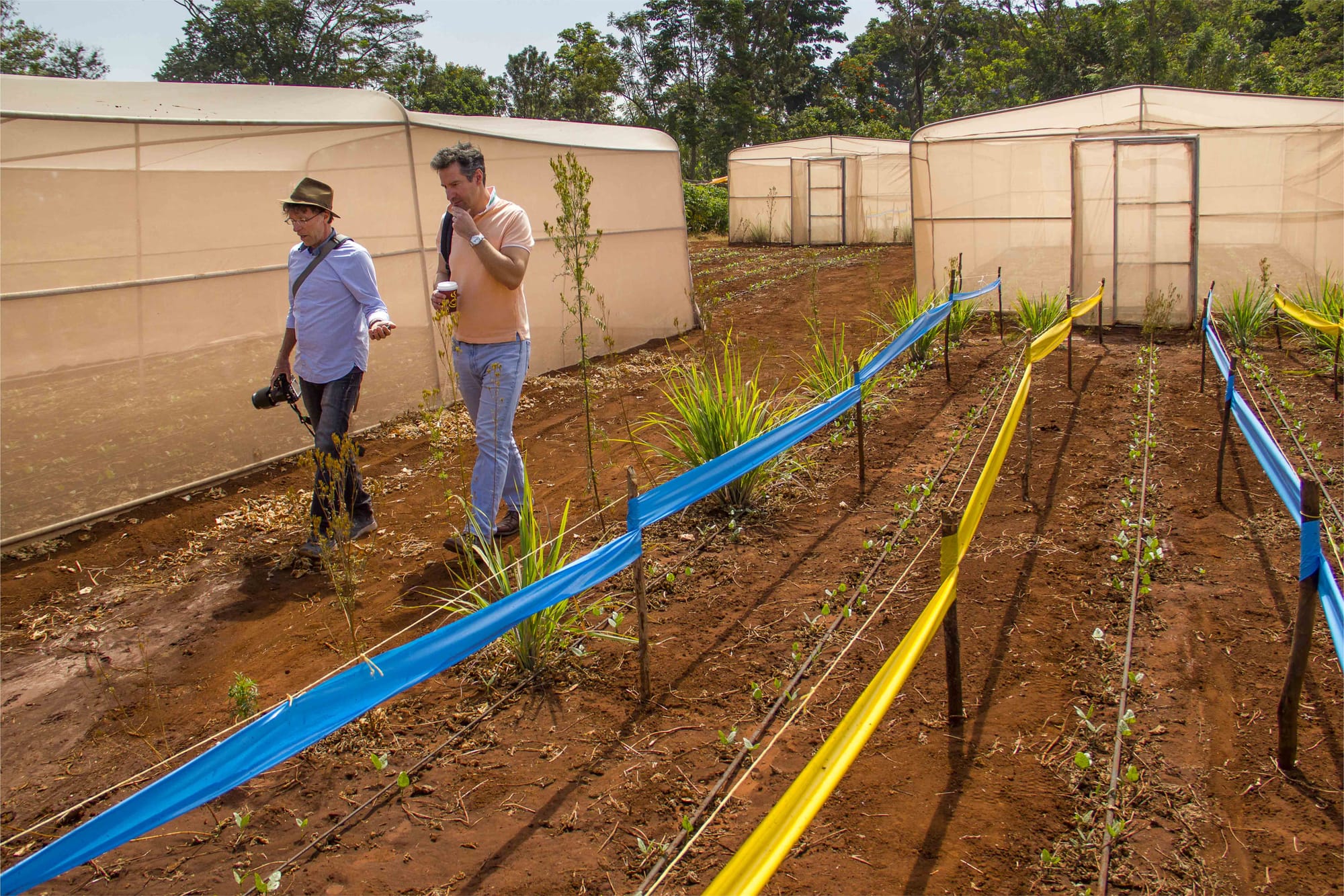 The netting technology