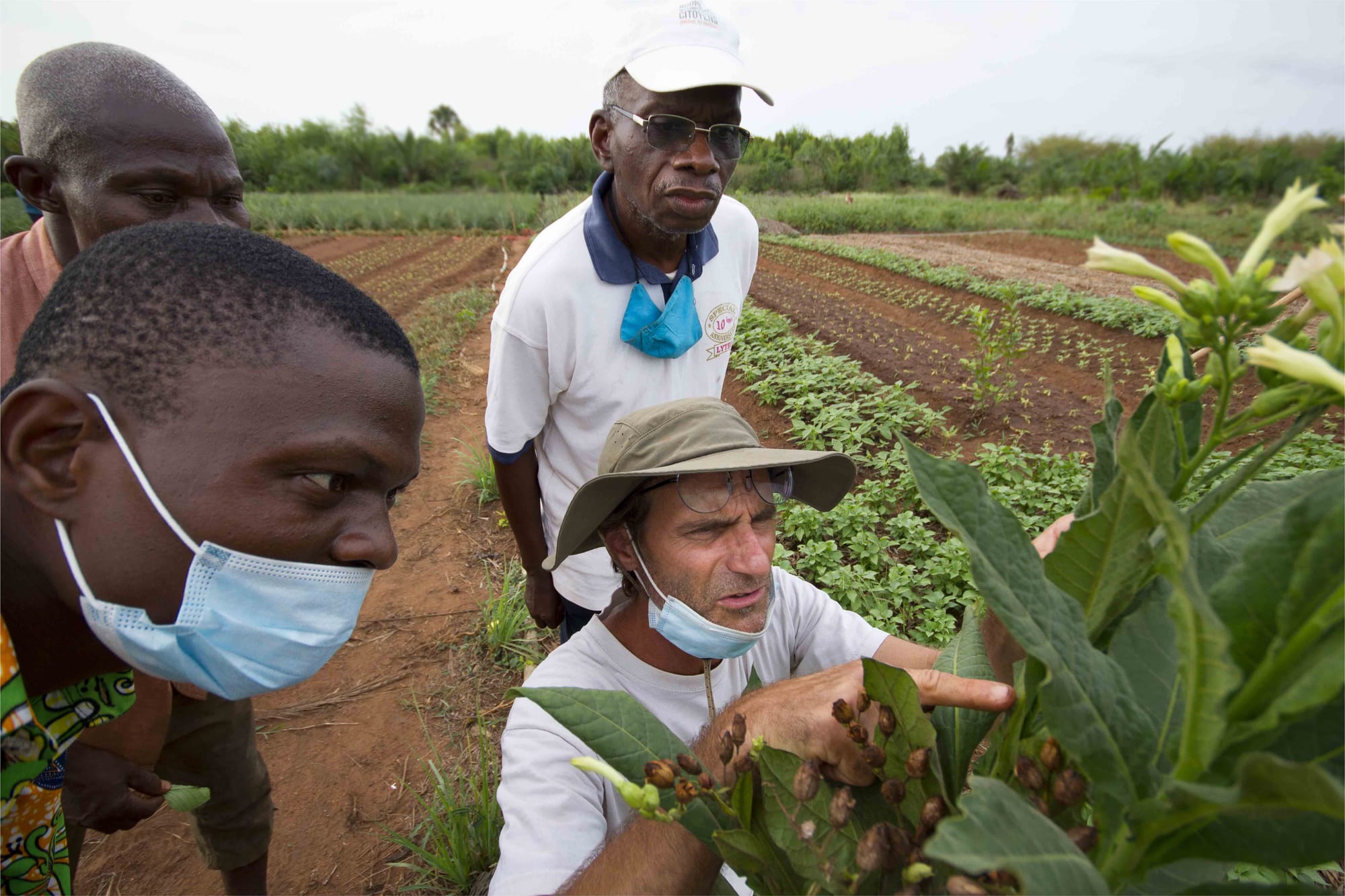 Protecting without poisoning