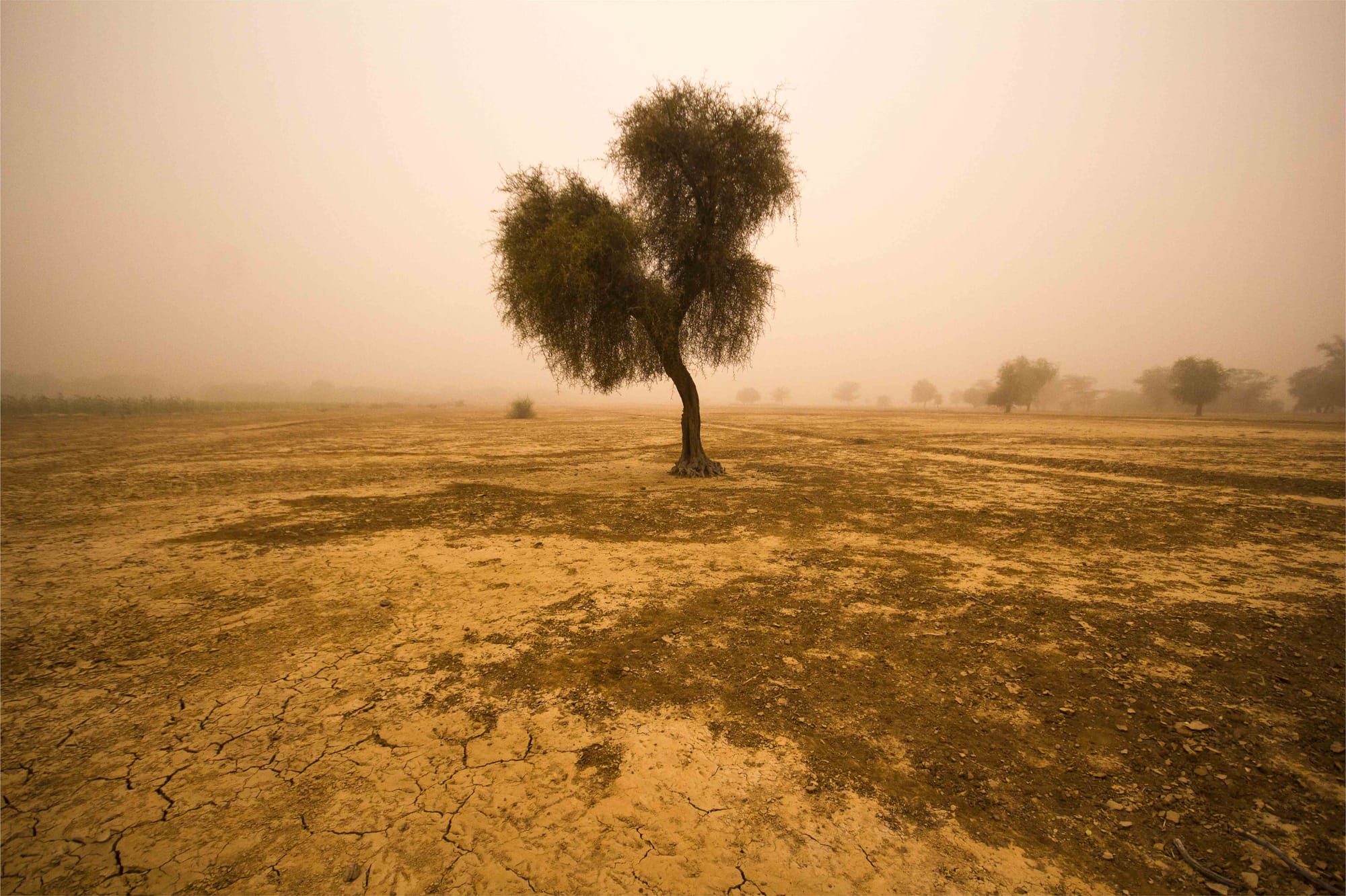 Desertification