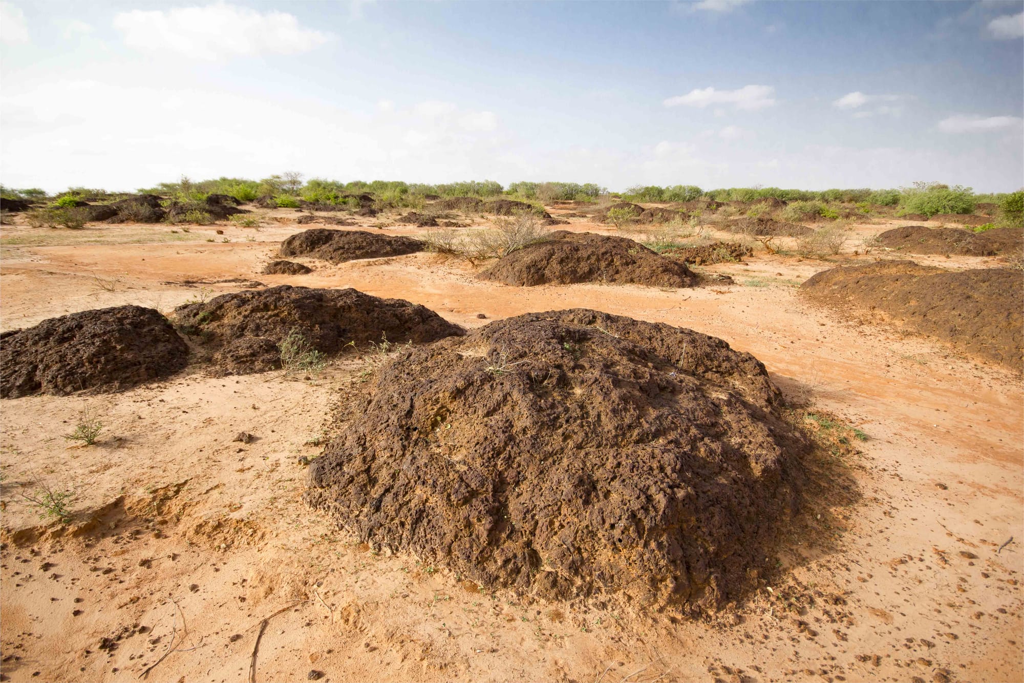 Desertification