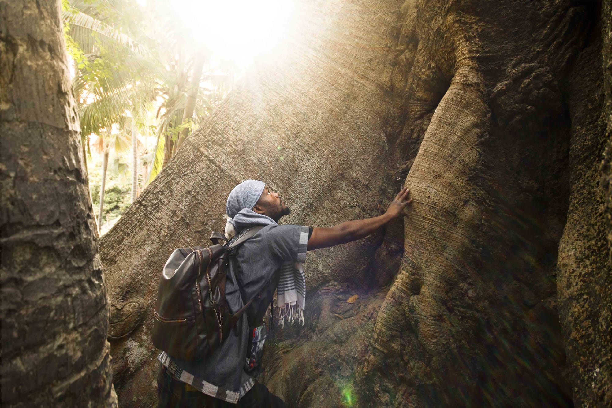 Allies that provide welcome shade