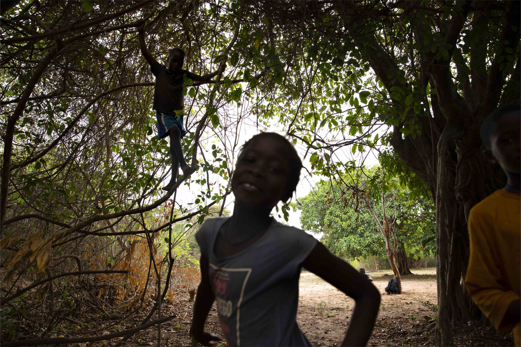 Allies that provide welcome shade