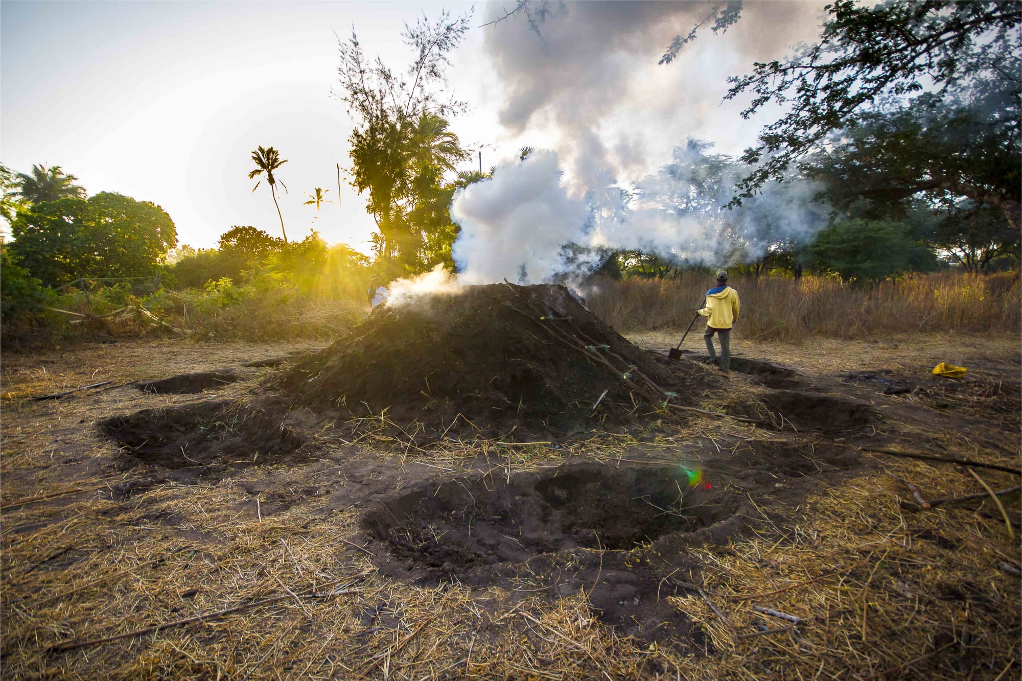 The black gold of coal