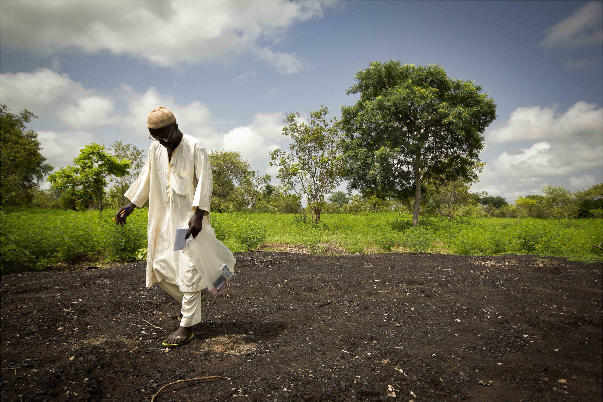 The black gold of coal