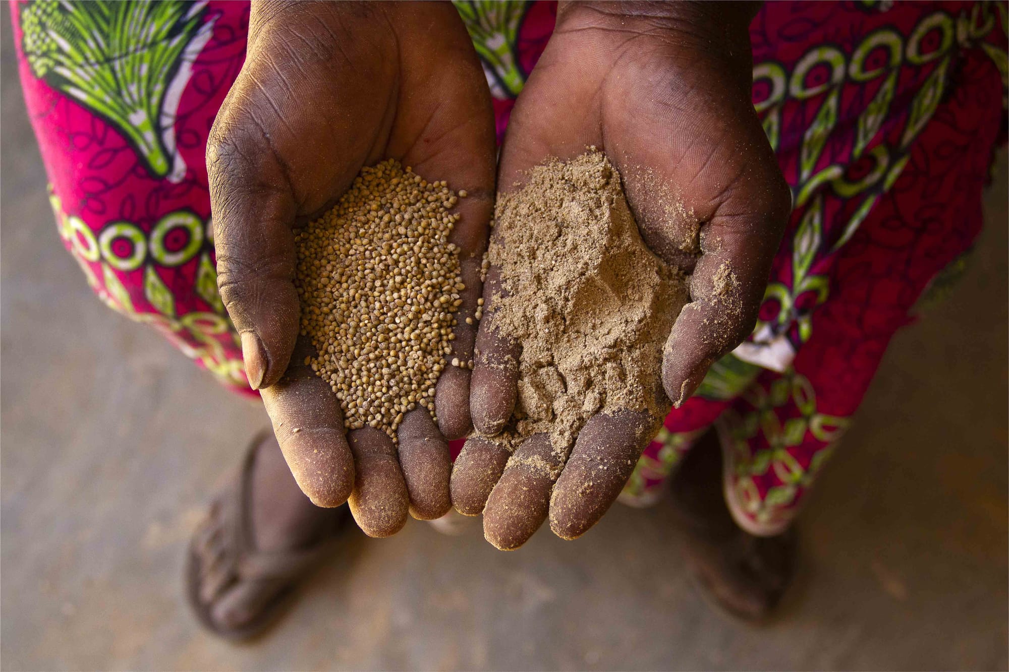 Millet for food security