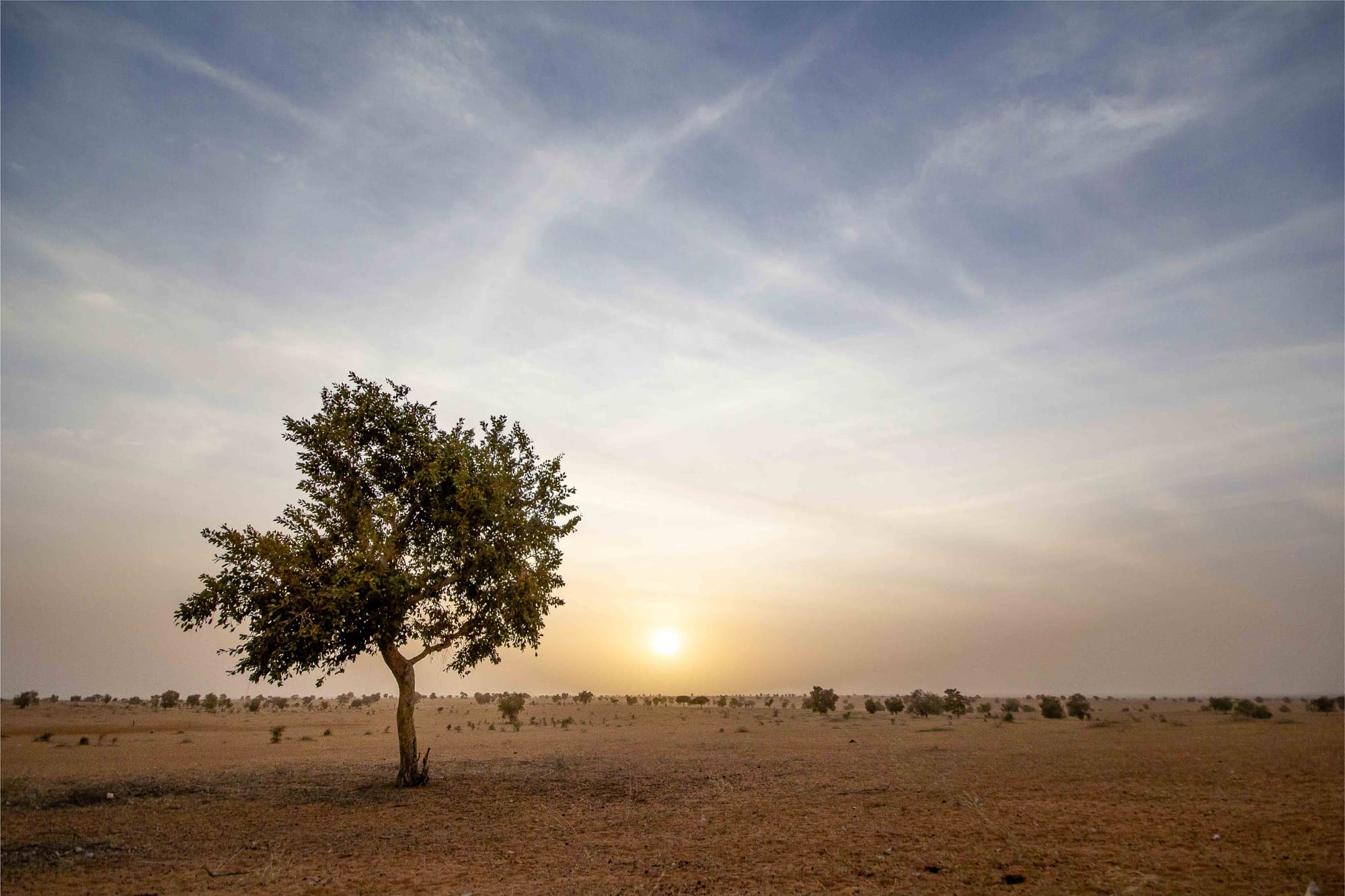 Valuing arid environments