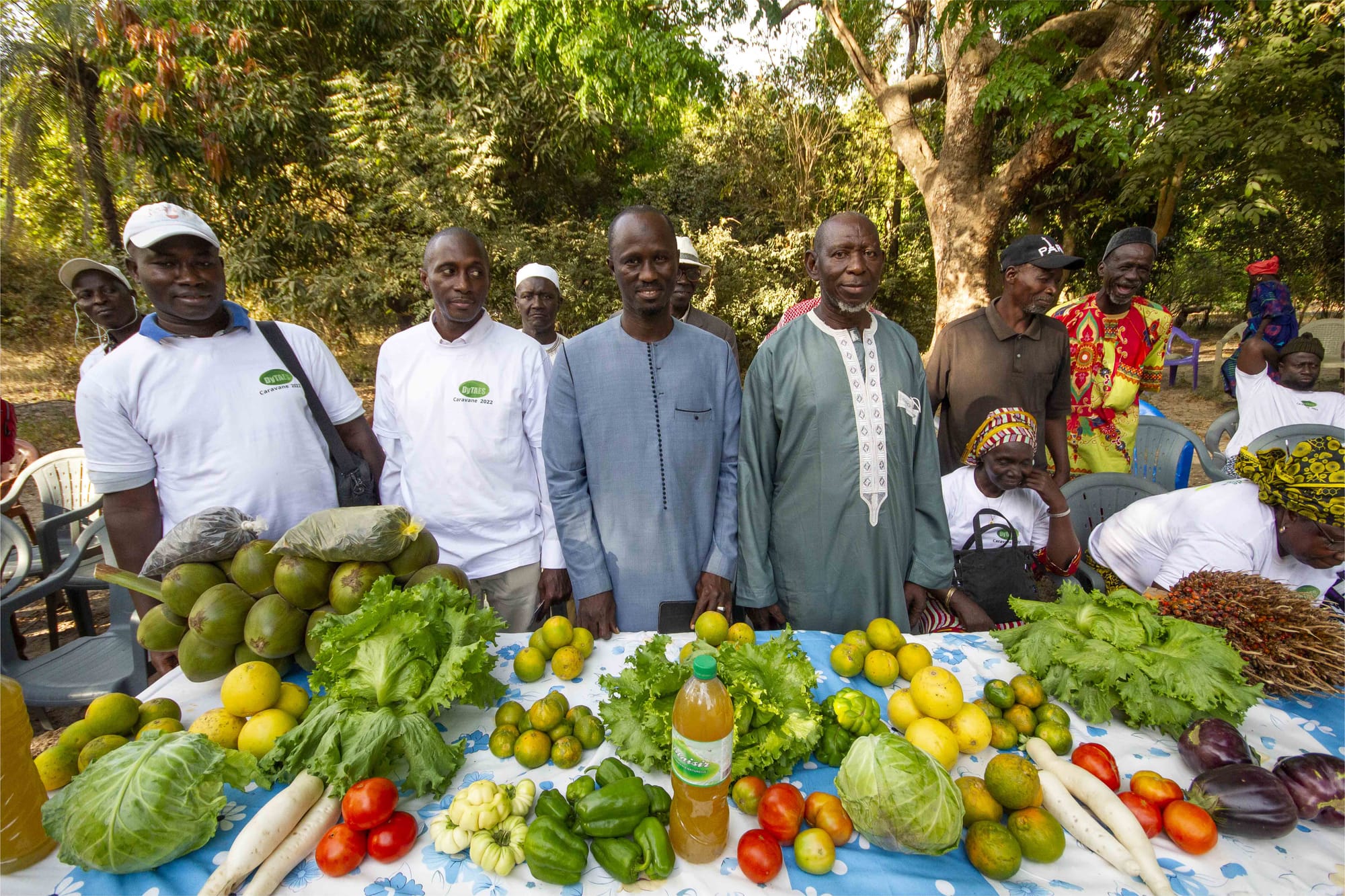 Supporting territories in transition