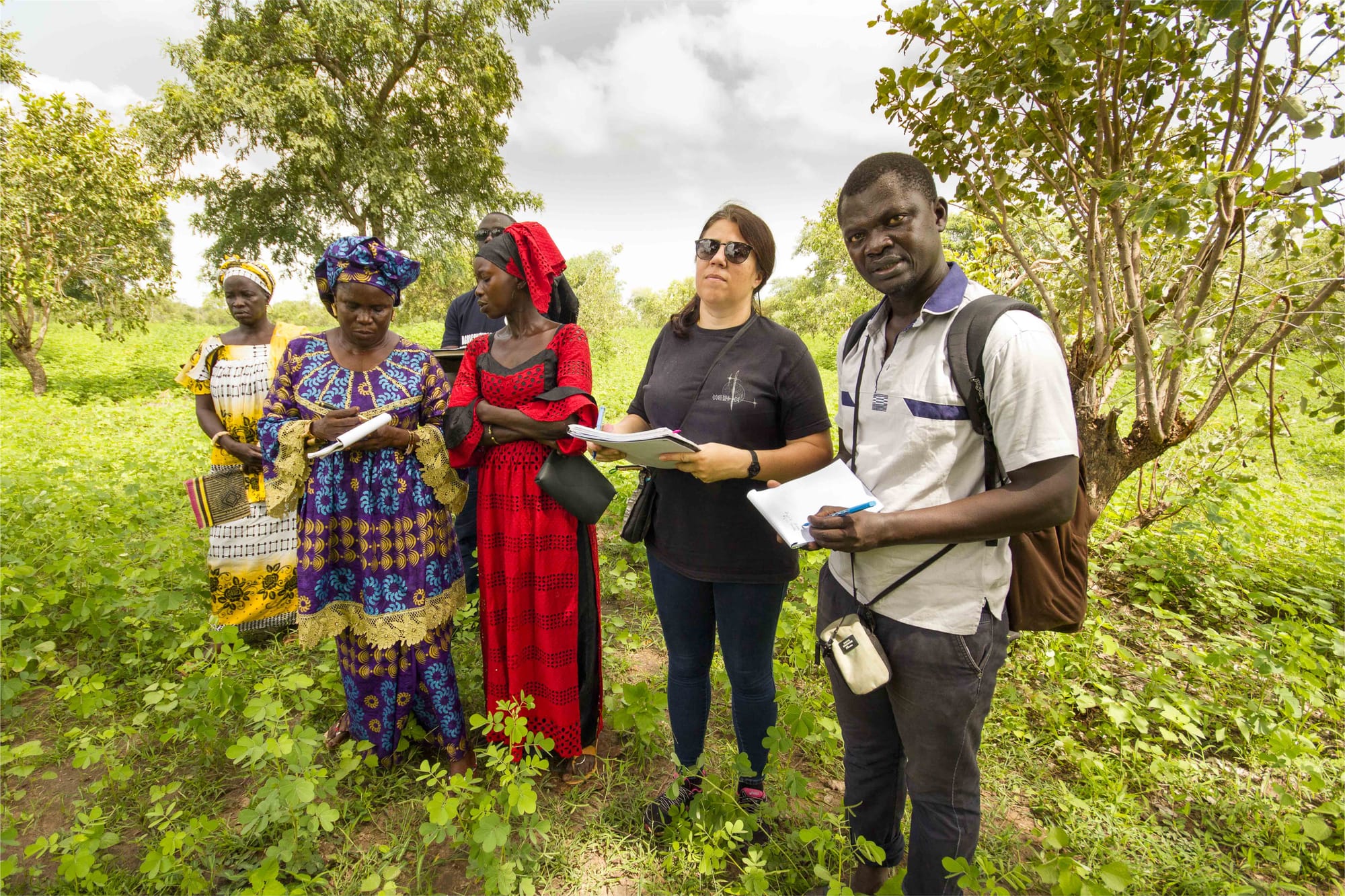 An inventory of agroecological initiatives